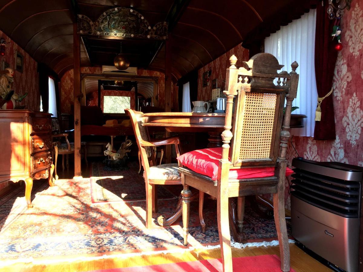 Historischer Zirkuswagen Mit Terrasse Und Blick Ins Gruene Witzenhausen Zewnętrze zdjęcie